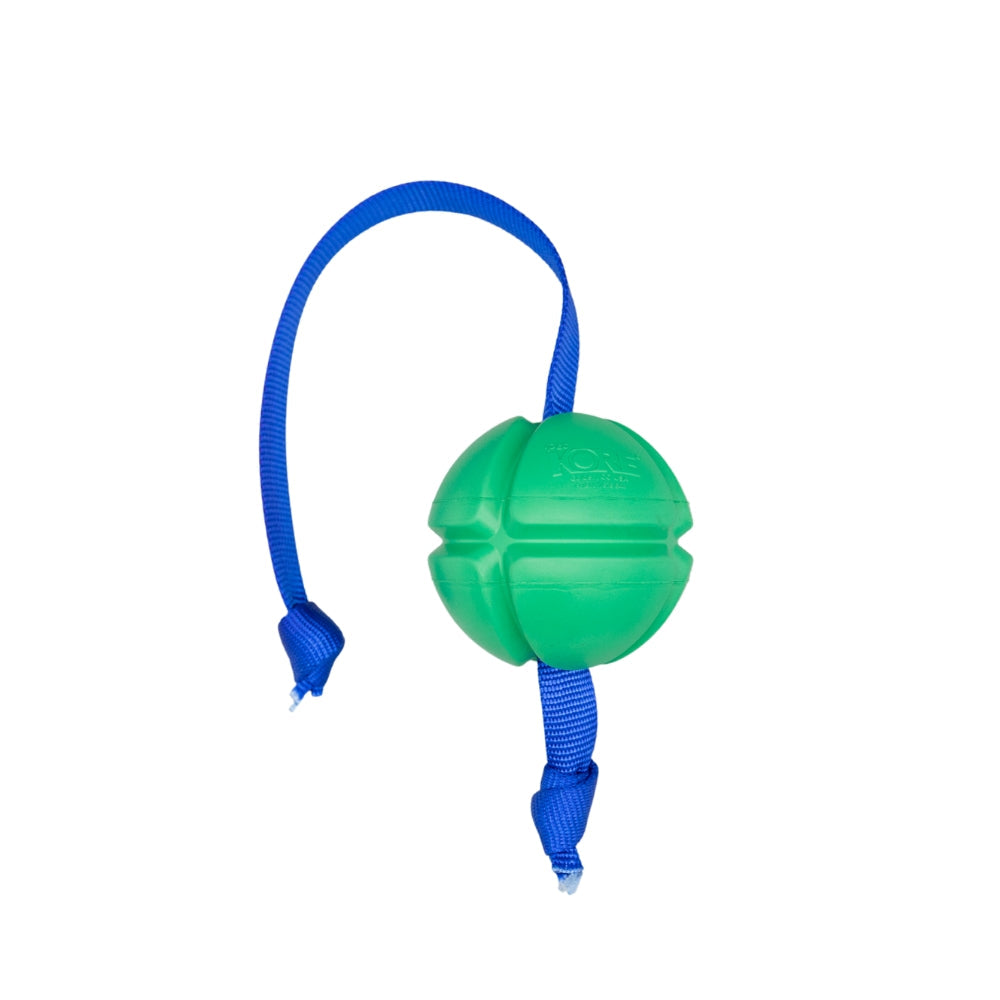 Dog Tug Toy