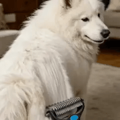 OLAXO The Original FureverBrush - Pro Grooming Tool